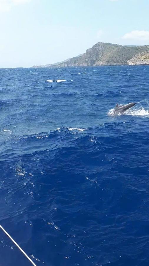B&B L'Ulivo Marina di Camerota Εξωτερικό φωτογραφία